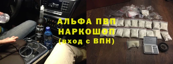 прущие грибы Абаза