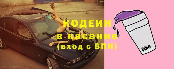 прущие грибы Абаза