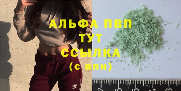 прущие грибы Абаза
