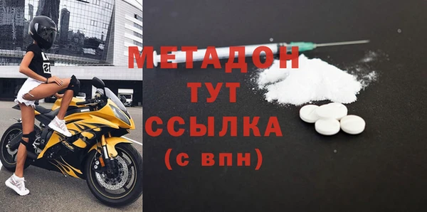 прущие грибы Абаза