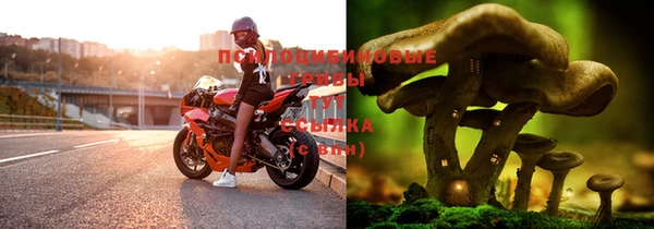 каннабис Абдулино
