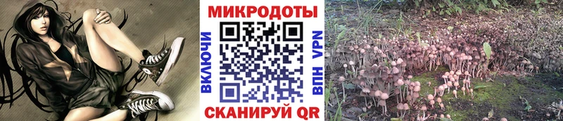 даркнет сайт  Щучье  ссылка на мегу tor  Псилоцибиновые грибы MAGIC MUSHROOMS 